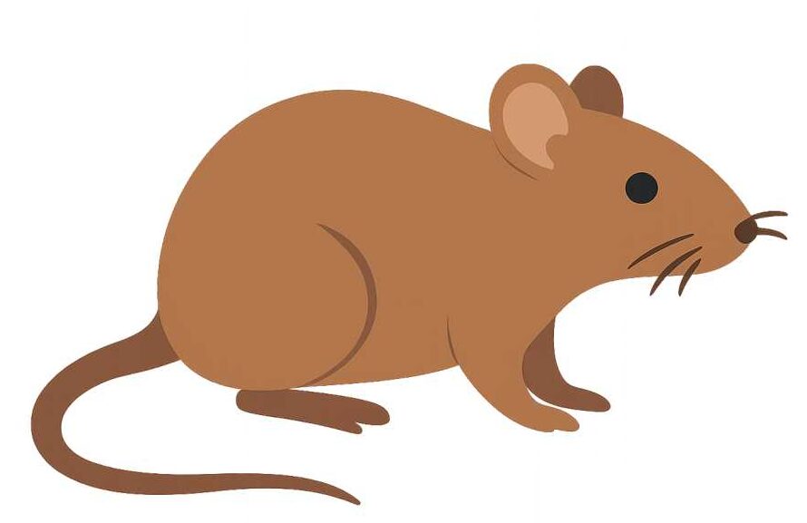 the_loyal_service rodent control