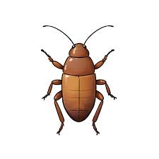 the_loyal_service cockroach